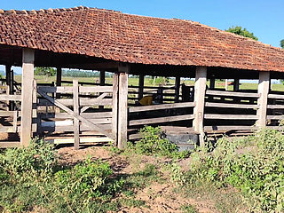 I Went to Visit My Farm and Ended up Having Sex with the Cowboy; He Fucked Me Like a Slut.