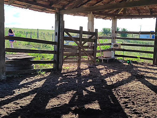 I WENT TO VISIT MY FARM AND ENDED UP HAVING SEX WITH THE COWBOY HE FUCKED ME LIKE A SLUT