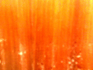 Naughty arabic girl touching my cock for the first time