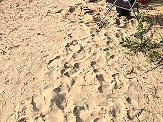 Nude Beach, People I Lost Control