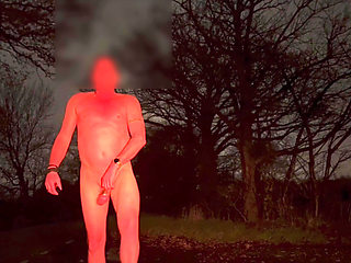Wanking naked when a car passed by