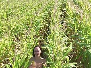 Corn Field Naked Run