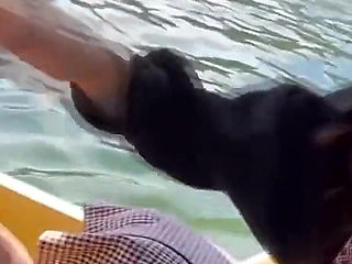 Office Heat-a Recruit-style Muse Mixes Her Sweet Voice with a Bold Outdoor Chapter-1