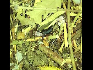 Caught Friend Jerking off Outdoors, Then I Found and Tasted His Cum