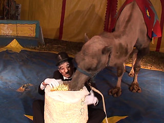 Pierced chick anally banged