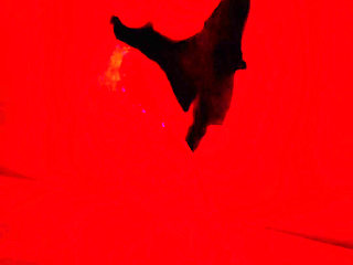 Hhf Threesome with a Subscriber Part 2