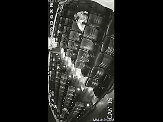 Desi Indian hookup Movie viral mms 2