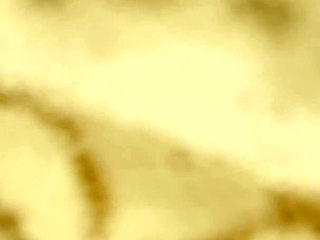 I Fuck My Wife on a Leash