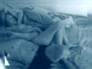 Owen's Wife Thong Sandy Fucks Another Man