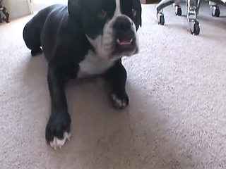 This perfect sexy milf with big tits is ideal to please with a big black cock