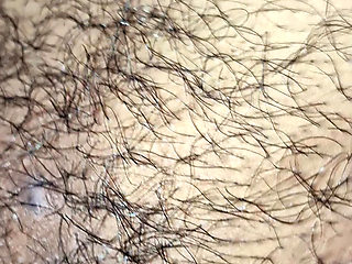 Desi Wife Fucking Her Husband