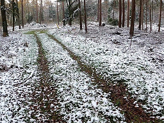 Heating and Beating up Her Tits in Icy Woods