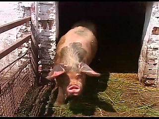 Vintage Blonde MILF Ravished in Barn and Outdoors
