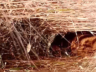 Outdoor sex full body nude outdoors sex