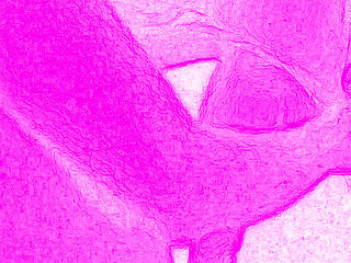 A Sexual Encounter Is About Joy, so Intense and Wild That It's Difficult to Describe in Words.