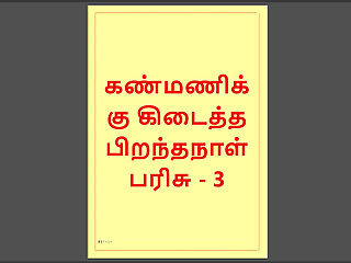 Kanmani's Birthday Gift - Part 3 - A Tamil Audio Sex Story
