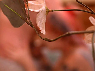 Hot Neighbors in Hot Tub