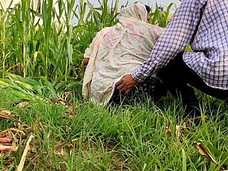 Poor Girl getting Fucked while cutting fodder in the fields.