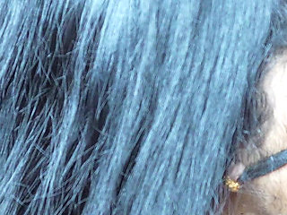 Indian Girlfriend Boyfriend Met After a Long Time, Awesome Kissing Sun Video Hindi Audio