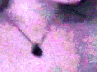 I Got Bored in Bed This Evening, so I Decided to Suck a Cock and Play with My Perfect Ass