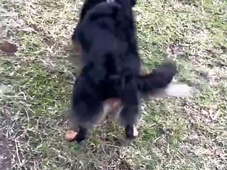 After merging him, he paid me in kind