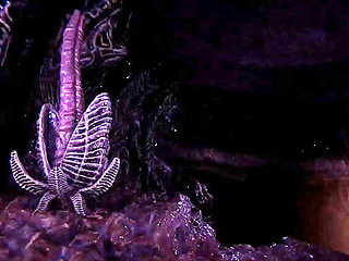 Lust from Beyond Part 4 - BDSM Hentai Game with Monster Girls & Masked Sex