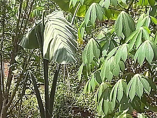 Be Quick so No One Will Catch Us(the Making)