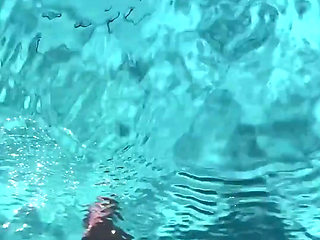 Dangerous Creature in the Water