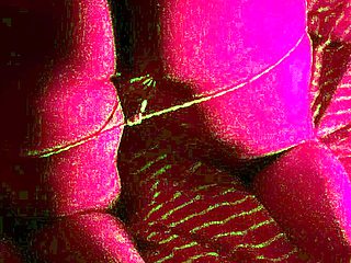 Amazing Webcam Solo Masturbation More at