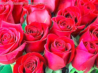 Jaw-dropping mature hotwife in saree has a wild adventure with her husband