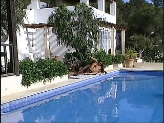 Big Fat Black Hammer Fucks Young Blonde with Huge Tits - BBC Anal Scene